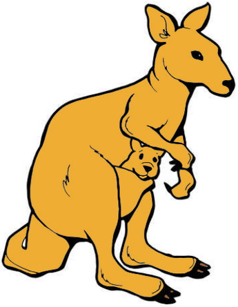 petit kangourou