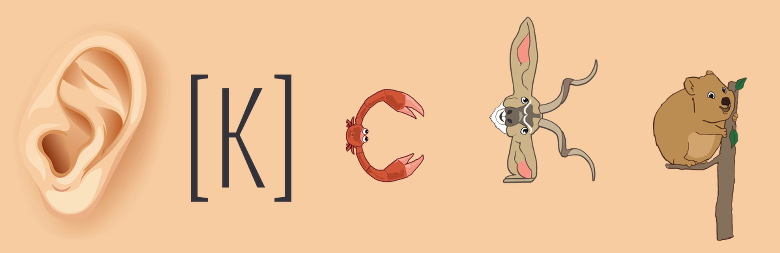 les trois Zoogotos pour le son [k] : Cristiano le crabe, Karl le koudou et Qurly le quokka