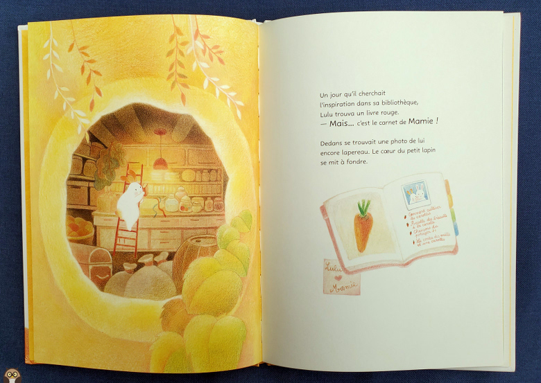 Lulu trouva un livre rouge, le carnet de Mamie ! Dedans se trouvait une photo de lui encore lapereau mais aussi des rubriques comme : Comment cultiver les carottes - Recette des biscuits à la carotte - Chansons du potager - Les contes des mille et une carottes.