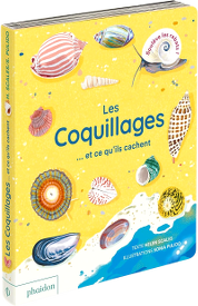 Les Coquillages... et ce qu'ils cachent - Helen Scales - Sonia Pulido - Editions Phaidon