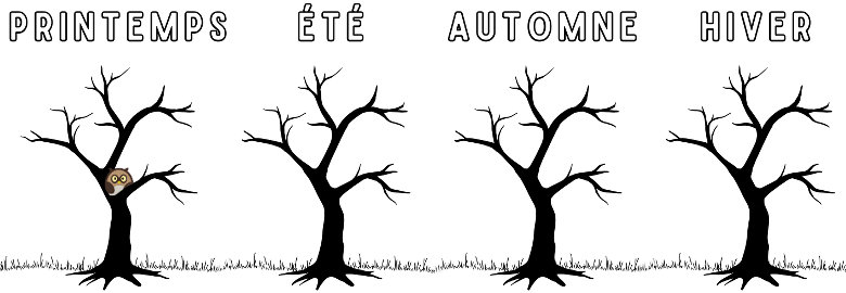 Arbre nu - à compléter pour le printemps, l'été, l'automne et l'hiver