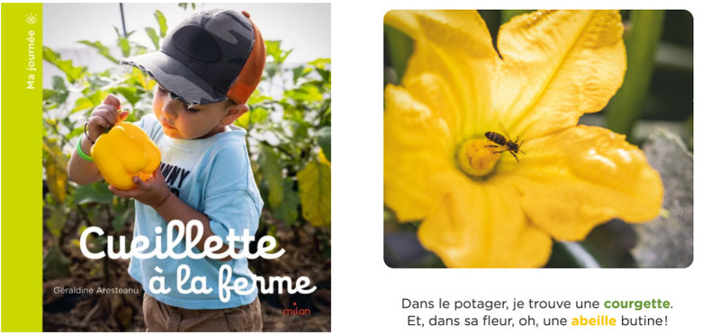 Ma journée - Cueillette à la ferme