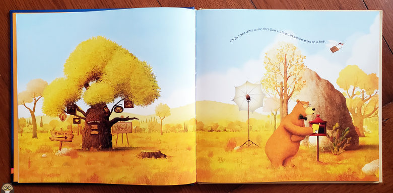 Tous les moments précieux - Siwon Lee - Ours et Hibou sont des photographes.