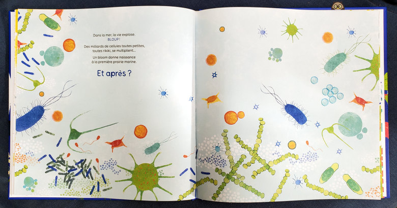Avant moi - Emmanuelle Houssais - éditions du Ricochet - "Dans la mer, la vie explose, BLOUP ! Des milliards de cellules toutes petites, toutes rikiki, se multiplient... Et après ?"