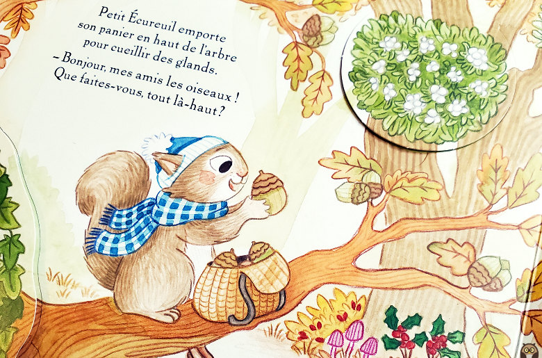 Petit écureuil emporte son panier en haut de l'arbre pour cueillir des glands. Petit écureuil fête l'automne - Amy Adele - éditions Gründ