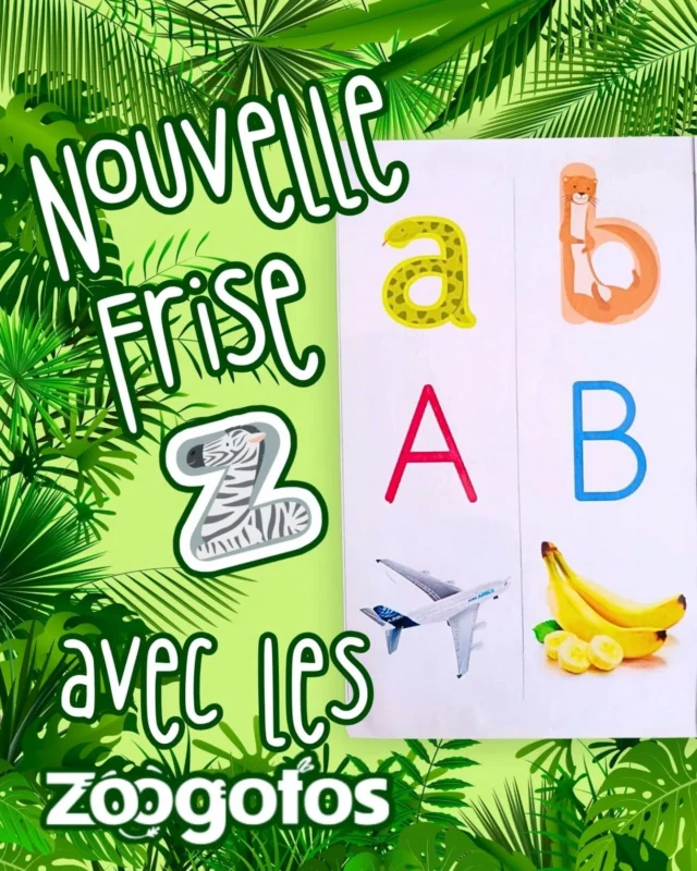 Cela fait plus de deux ans que j'ai adopté les Zoogotos dans ma classe. Il était temps 😆 de donner un petit coup de frais à ma frise phonétique (celle qui aide les enfants à retenir le son des lettres).

🎉 Ça y est, c’est chose faite : j’ai créé une grande frise (plus de 2m de long !) pour ma classe… et bonne nouvelle, @leszoogotos m’ont donné leur feu vert pour que je la partage avec vous ! 🤗

📂 Si ça vous tente, le pdf est dispo sur le blog (c’est une mise à jour d'un article de 2021, donc vous pouvez le retrouver facilement avec la barre de recherche).

#bruitdeslettres #phonologie #lettresscriptes #leszoogotos #zoogotos #mobiliserlelangage #teamcycle1 #teamgrandesection #teammaternelle #teamzoogotos